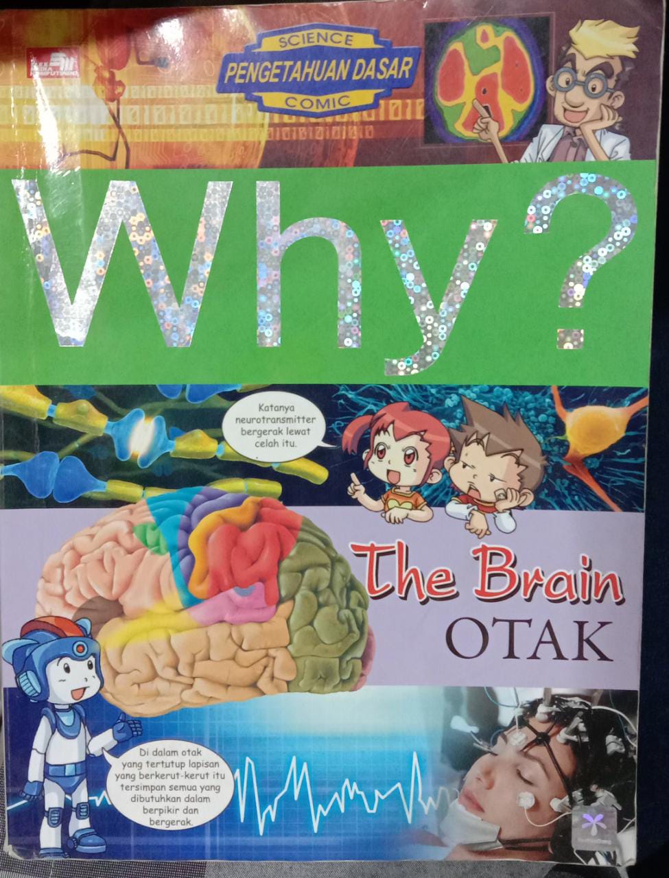 Why the brain